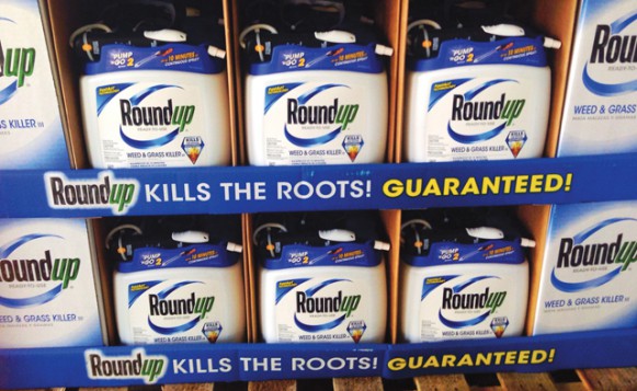 Monsanto Roundup