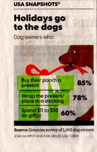 Holiday Dog Gift Survey