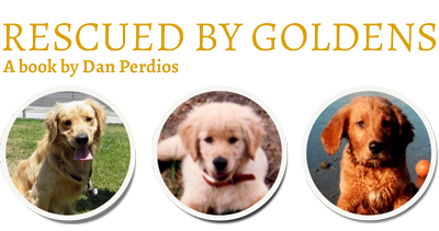 Rescued By Goldens - Dan Perdios